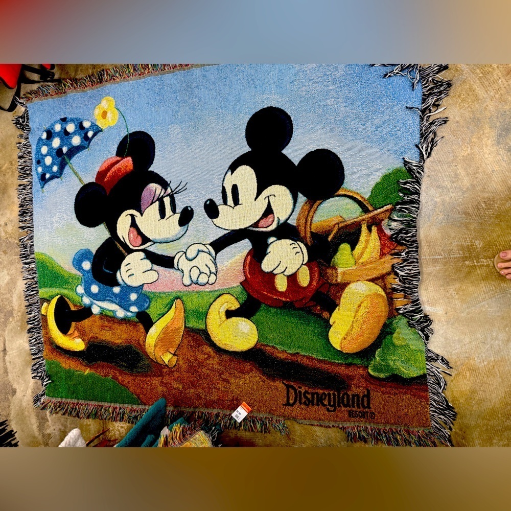 Walt Disney World Mickey’s Spring Picnic Tapestry Woven Throw Blanket 60x50 USA